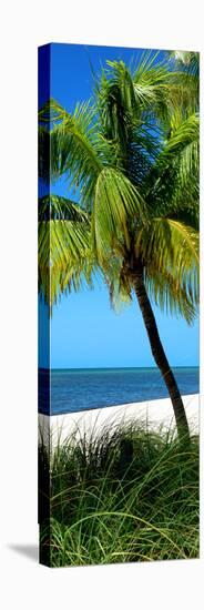 Palms on a White Sand Beach in Key West - Florida-Philippe Hugonnard-Stretched Canvas