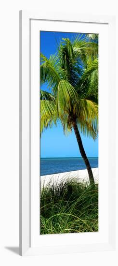 Palms on a White Sand Beach in Key West - Florida-Philippe Hugonnard-Framed Photographic Print