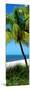 Palms on a White Sand Beach in Key West - Florida-Philippe Hugonnard-Mounted Photographic Print