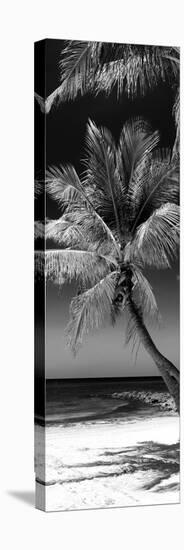 Palms on a White Sand Beach in Key West - Florida-Philippe Hugonnard-Stretched Canvas