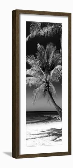 Palms on a White Sand Beach in Key West - Florida-Philippe Hugonnard-Framed Photographic Print