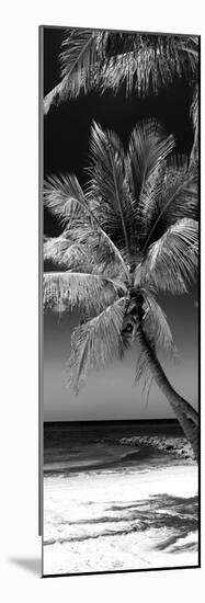 Palms on a White Sand Beach in Key West - Florida-Philippe Hugonnard-Mounted Photographic Print