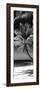 Palms on a White Sand Beach in Key West - Florida-Philippe Hugonnard-Framed Photographic Print