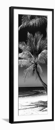 Palms on a White Sand Beach in Key West - Florida-Philippe Hugonnard-Framed Photographic Print