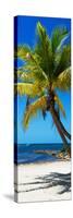 Palms on a White Sand Beach in Key West - Florida-Philippe Hugonnard-Stretched Canvas