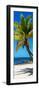 Palms on a White Sand Beach in Key West - Florida-Philippe Hugonnard-Framed Photographic Print