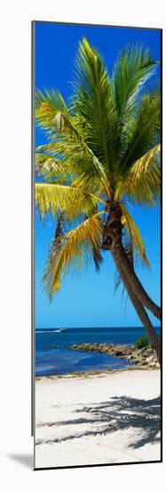 Palms on a White Sand Beach in Key West - Florida-Philippe Hugonnard-Mounted Photographic Print