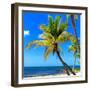 Palms on a White Sand Beach in Key West - Florida-Philippe Hugonnard-Framed Photographic Print