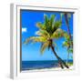 Palms on a White Sand Beach in Key West - Florida-Philippe Hugonnard-Framed Photographic Print