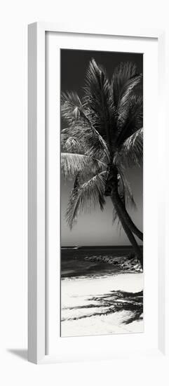 Palms on a White Sand Beach in Key West - Florida-Philippe Hugonnard-Framed Photographic Print