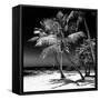 Palms on a White Sand Beach in Key West - Florida-Philippe Hugonnard-Framed Stretched Canvas