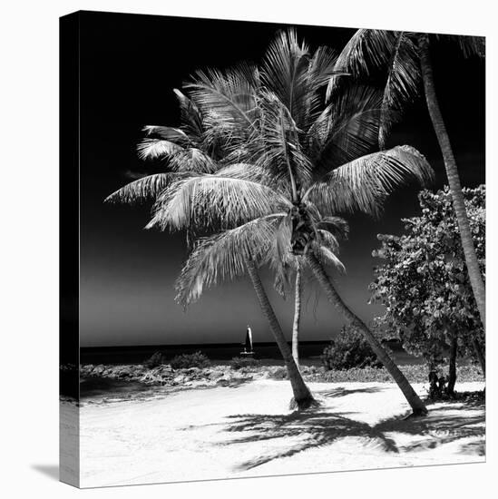 Palms on a White Sand Beach in Key West - Florida-Philippe Hugonnard-Stretched Canvas