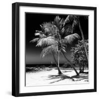 Palms on a White Sand Beach in Key West - Florida-Philippe Hugonnard-Framed Photographic Print