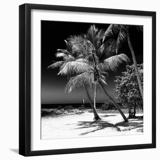 Palms on a White Sand Beach in Key West - Florida-Philippe Hugonnard-Framed Photographic Print