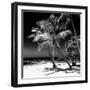 Palms on a White Sand Beach in Key West - Florida-Philippe Hugonnard-Framed Photographic Print