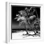 Palms on a White Sand Beach in Key West - Florida-Philippe Hugonnard-Framed Photographic Print