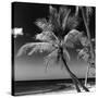 Palms on a White Sand Beach in Key West - Florida-Philippe Hugonnard-Stretched Canvas