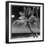 Palms on a White Sand Beach in Key West - Florida-Philippe Hugonnard-Framed Photographic Print