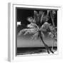 Palms on a White Sand Beach in Key West - Florida-Philippe Hugonnard-Framed Premium Photographic Print