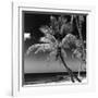 Palms on a White Sand Beach in Key West - Florida-Philippe Hugonnard-Framed Photographic Print