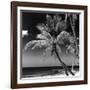 Palms on a White Sand Beach in Key West - Florida-Philippe Hugonnard-Framed Photographic Print