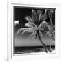 Palms on a White Sand Beach in Key West - Florida-Philippe Hugonnard-Framed Photographic Print