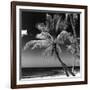 Palms on a White Sand Beach in Key West - Florida-Philippe Hugonnard-Framed Photographic Print