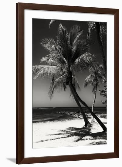 Palms on a White Sand Beach in Key West - Florida-Philippe Hugonnard-Framed Photographic Print