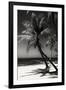 Palms on a White Sand Beach in Key West - Florida-Philippe Hugonnard-Framed Photographic Print