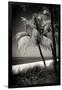 Palms on a White Sand Beach in Key West - Florida-Philippe Hugonnard-Framed Photographic Print