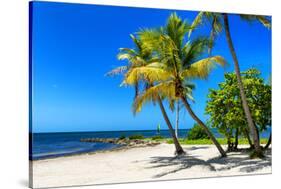 Palms on a White Sand Beach in Key West - Florida-Philippe Hugonnard-Stretched Canvas