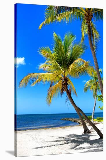 Palms on a White Sand Beach in Key West - Florida-Philippe Hugonnard-Stretched Canvas