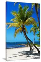 Palms on a White Sand Beach in Key West - Florida-Philippe Hugonnard-Stretched Canvas