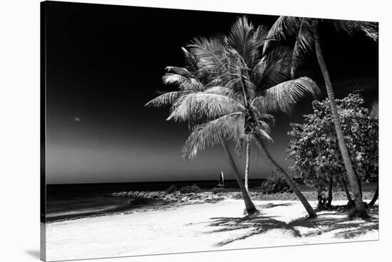 Palms on a White Sand Beach in Key West - Florida-Philippe Hugonnard-Stretched Canvas