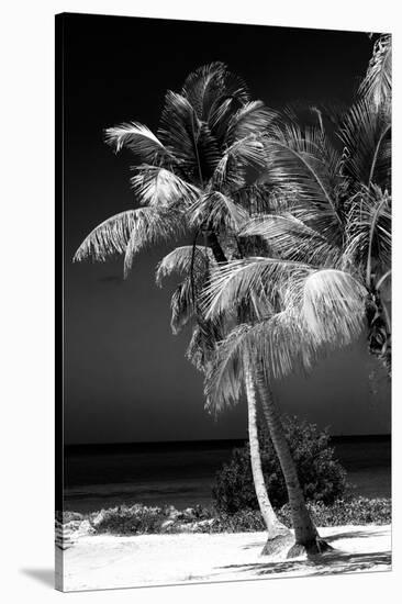 Palms on a White Sand Beach in Key West - Florida-Philippe Hugonnard-Stretched Canvas