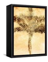 Palms on Brown IV-null-Framed Stretched Canvas