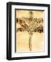 Palms on Brown IV-null-Framed Photographic Print