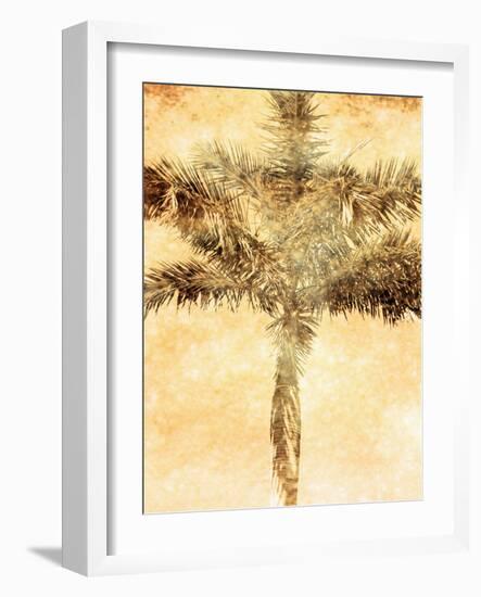 Palms on Brown IV-null-Framed Photographic Print