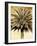 Palms on Brown V-null-Framed Photographic Print