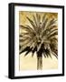 Palms on Brown V-null-Framed Photographic Print