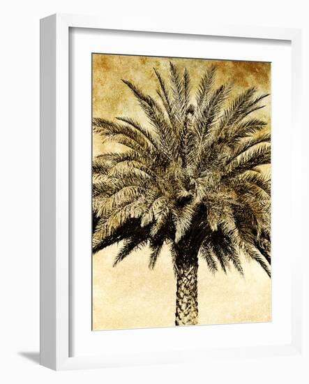 Palms on Brown V-null-Framed Photographic Print