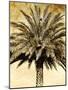 Palms on Brown V-null-Mounted Photographic Print