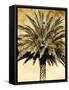 Palms on Brown V-null-Framed Stretched Canvas