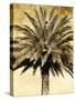 Palms on Brown V-null-Stretched Canvas