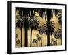 Palms on Gold-Kate Bennett-Framed Art Print