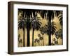 Palms on Gold-Kate Bennett-Framed Art Print