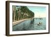 Palms on Lake Worth, Palm Beach, Florida-null-Framed Art Print
