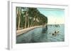 Palms on Lake Worth, Palm Beach, Florida-null-Framed Art Print