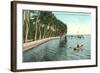 Palms on Lake Worth, Palm Beach, Florida-null-Framed Art Print