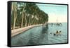 Palms on Lake Worth, Palm Beach, Florida-null-Framed Stretched Canvas